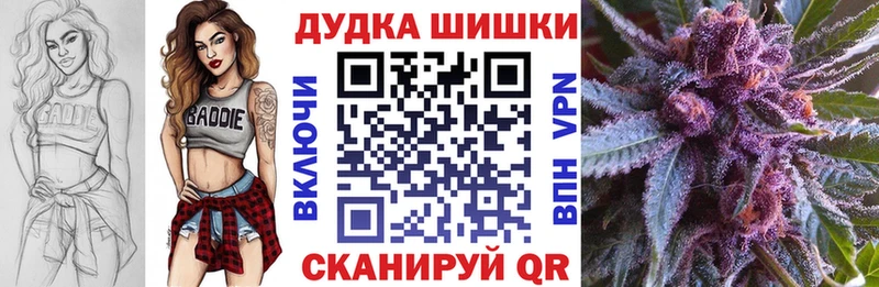Каннабис план  купить наркотики сайты  Новоузенск 